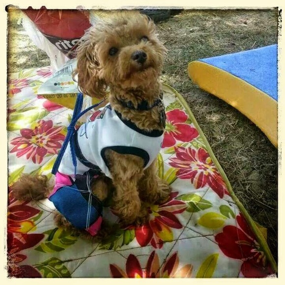 patrosario